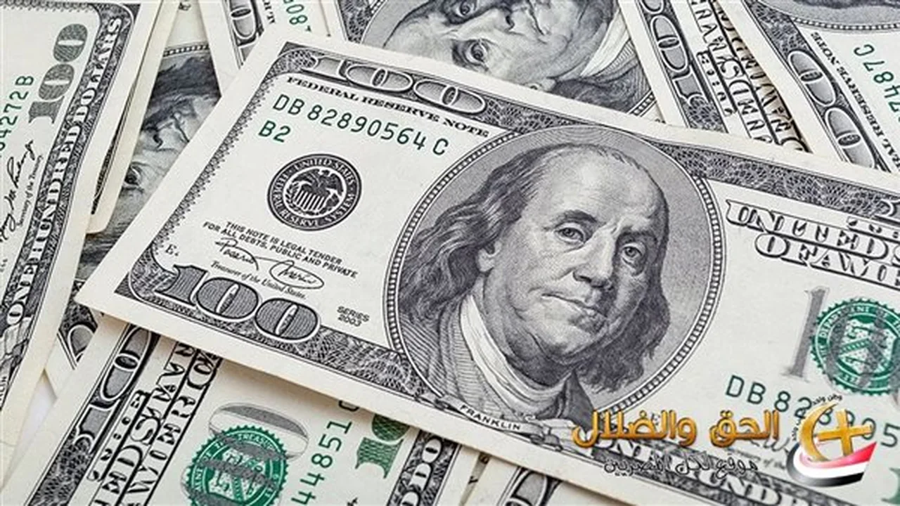 تحركات مفاجئة في سعر صرف الدولار مقابل الجنيه المصري خلال تعاملات اليوم